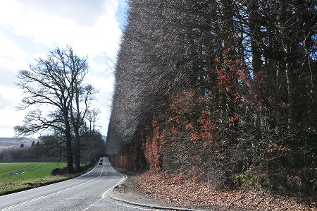 Seen from the North, March 2017