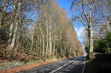 Seen from the South, March 2017