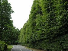 The Southern End and Layby, 2008