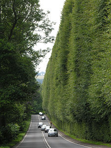 Another 2008 View from the North