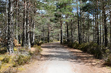 The Track from the Car Park