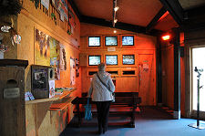 Live Footage of the Nests