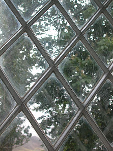 Inside View of Glass