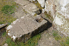 Socket for Gate Hinge