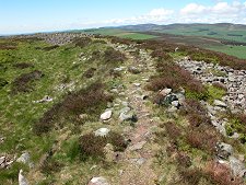 Bank of the White Caterthun