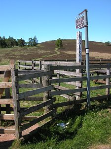 The Path to the White Caterthun