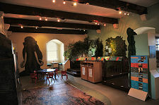 Broughty Life on Land