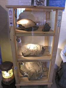 Display of Carved Stones