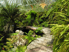 Footbridge in the Fernery