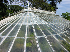 Fernery Roof
