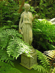 Statue in the Fernery
