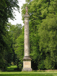 Column in the Upper Policies