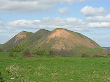 Five Sisters from the South