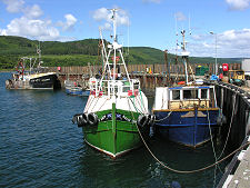 Carradale Harbour