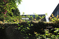 A Glimpse from the West