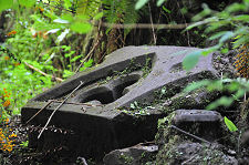 Possible House Remains