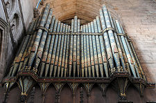 The Organ