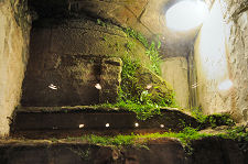 Roman Remains Found  in Treasury