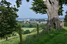 View West Towards Alloa