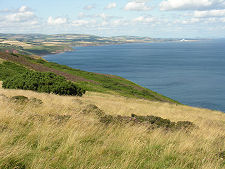 View North from the Approach Path