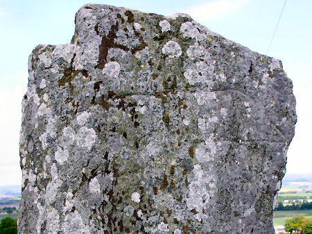 Faint Carving of a Wolf or a Bear: this image has been enhanced to make the carving clearer