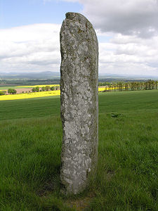 The Side of the Stone