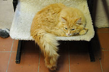 Inside One of the Washbacks