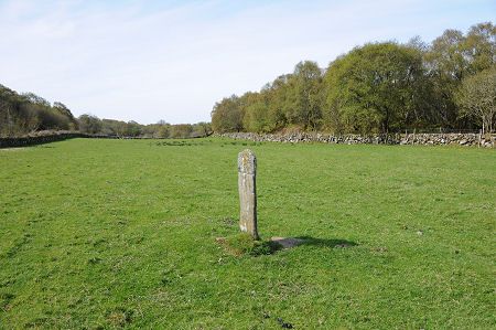 The Cross Slab in its Field Setting