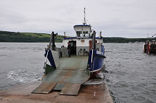 Renfrew Rose at Nigg
