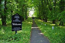 Path Leading from Road