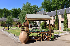 Another View of Restoration Yard