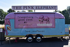 The Pink Elephant