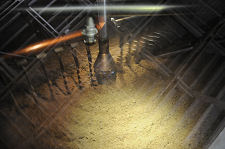 Inside the Mash Tun