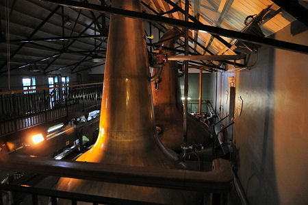 The Still House