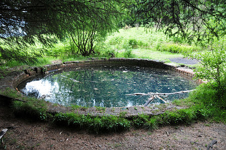 The Pool from the North