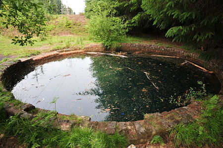The Pool from the South-East, with Pylon in the Background