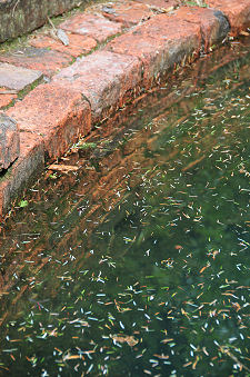 Brickwork Continuing Down