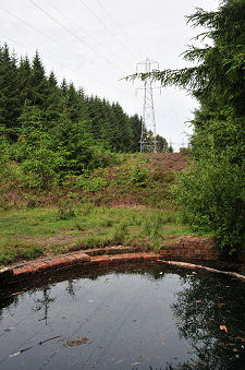 Blue Pool, Forest Gap and Power Line