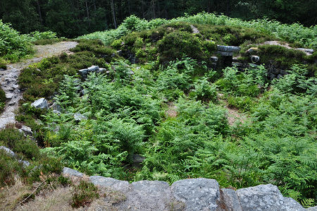 Interior from the Walltop, with Bracken