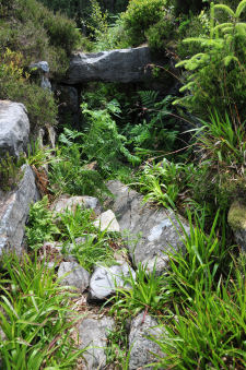 Entrance with Bracken