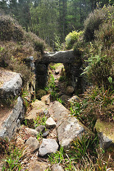 Entrance from the Inside