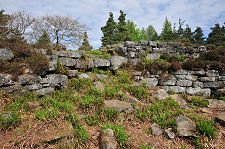 A View of the Interior