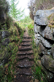 Intermural Staircase