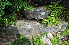 Recumbent Stone, But No Carving