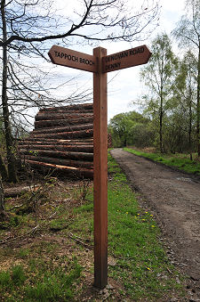 Start of Path from South