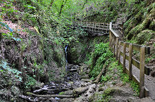 The Path Along Dollar Glen