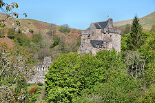 Similar View, With Trees, 2017