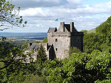 A Glimpse from the Road