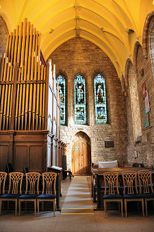 The Organ