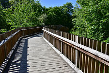 Bridge over the Ardoch Burn